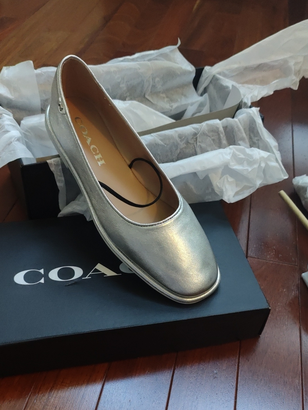 Coach Emilia Marry Jane Flats Metallic Silver Leather New In Box